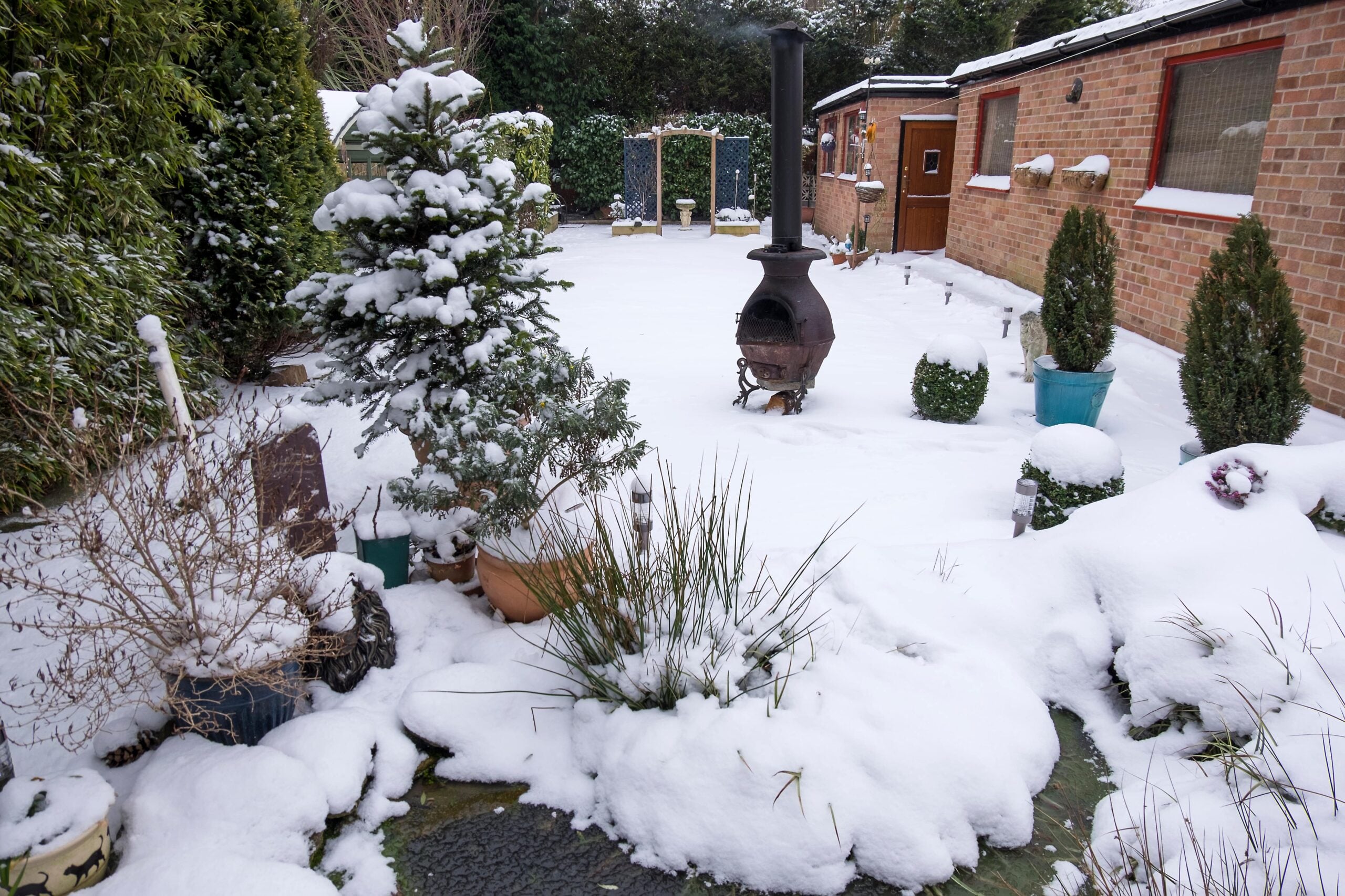 A backyard is completely covered in snow, with a wood-burning stove in the center, surrounded by snow-covered plants and a brick building.